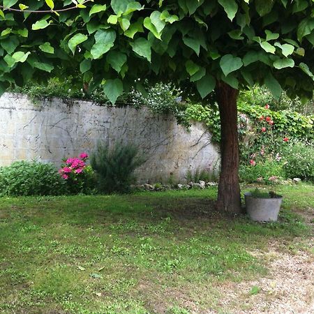 Gite Des Petites Poules Rousses 9 Personnes Zoo Beauval Et Chateaux De La Loire Choussy Dış mekan fotoğraf